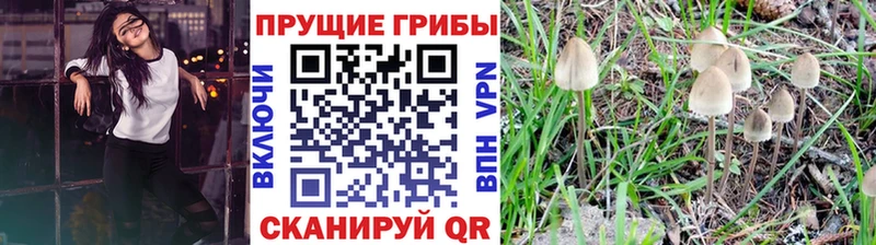 мега как зайти  Удомля  Псилоцибиновые грибы прущие грибы 